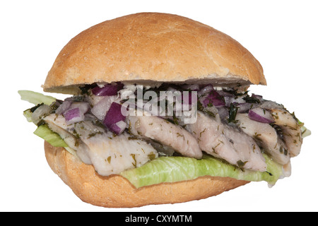 Matjes-Hering auf Eisbergsalat mit roten Zwiebeln in einer Rolle Stockfoto