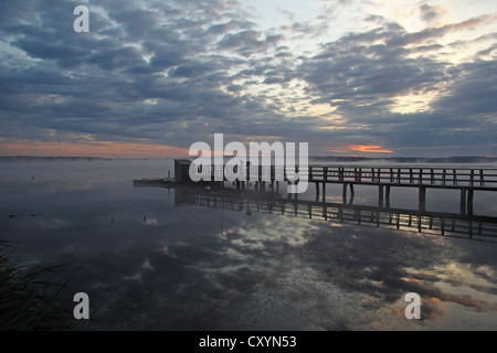 Steg am See Federsee, Wolken, Reflexionen, Federsee See Naturschutzgebiet, morgen Stimmung, Baden-Württemberg Stockfoto