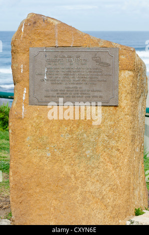 Denkmal für Surfer Creed Barnes, während des Surfens auf Prevelly, Margaret River, Western Australia starb Stockfoto