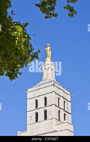 Avignon-Notre-Dame des Doms Turm vergoldete Jungfrau Maria Stockfoto