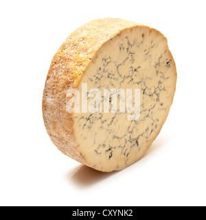 Stilton Käse auf einem weißen studio Hintergrund isoliert. Stockfoto