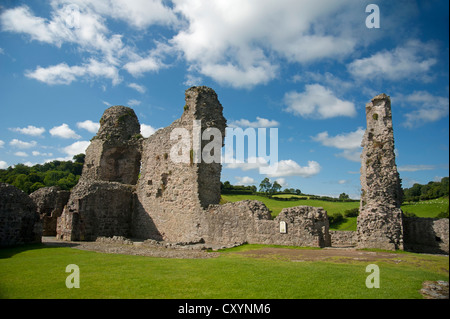 Das 13. Jahrhundert Ruinen von Montgomery Burg auf dem Burgberg, Powys, Mid Wales, Vereinigtes Königreich.   SCO 8688 Stockfoto