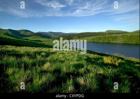 Guery See, der Sancy massiv an der Rückseite, Monts Dore, Puy de Dome, Vulkane-Naturpark Auvergne, Frankreich Stockfoto