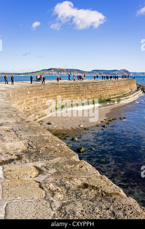 Die Cobb bei Lyme Regis, Dorset, Großbritannien Stockfoto