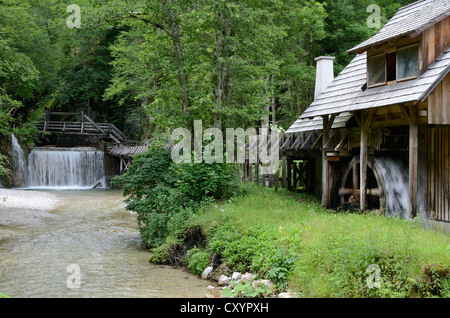 Mühle, traditionellen Holz floating Line in der mendling Tal, Lower Austria, Austria, Europa Stockfoto