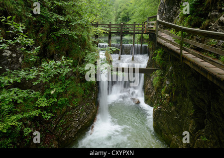 Traditionelle Holz floating Line in der mendling Tal, Lower Austria, Austria, Europa Stockfoto