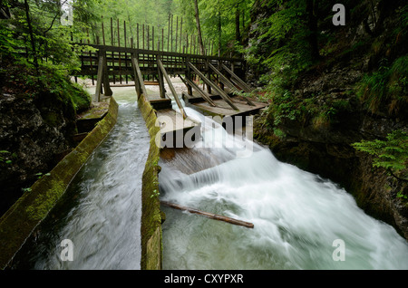 Traditionelle Holz floating Line in der mendling Tal, Lower Austria, Austria, Europa Stockfoto