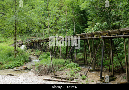 Traditionelle Holz floating Line in der mendling Tal, Lower Austria, Austria, Europa Stockfoto