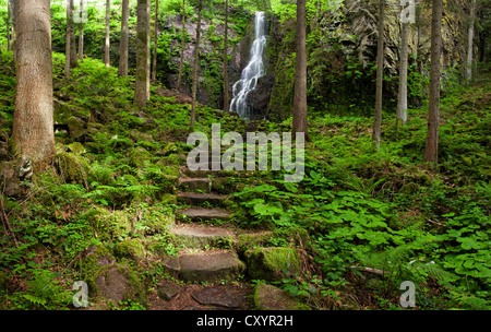 Burgbach Wasserfall in der Nähe von Schapbach im Schwarzwald, Baden-Württemberg Stockfoto