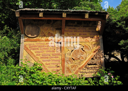 Hilfe für Wildbienen und andere Insekten, Bienenstock, Insektenhotel, North Rhine-Westphalia verschachteln Stockfoto