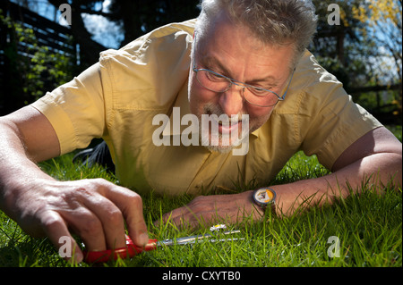Mann liegt auf dem Rasen schneiden Gänseblümchen mit einer Schere Stockfoto