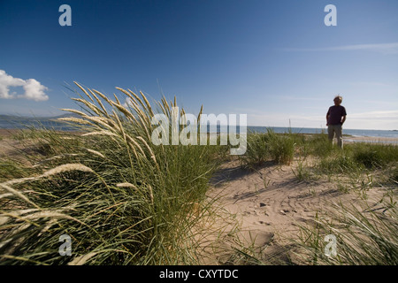 Strand und Dünen in Anglesey, Wales UK mit Weitsicht des Snowdonia Stockfoto