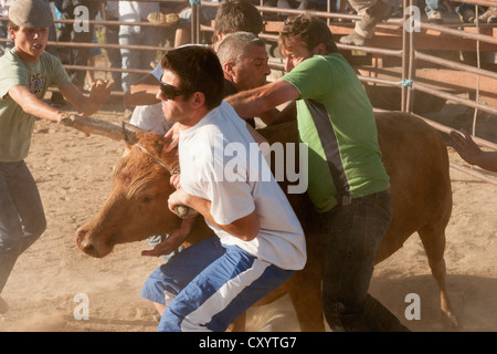 Amateur Stierkampf während Sommer fest in das kleine Dorf Aguiar, Alentejo, Portugal Stockfoto