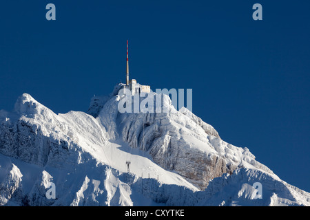 Blick von der hohen Alm auf das Alpstein-massiv mit Mt Säntis, Appenzell, St. Gallen, Schweizer Alpen, Schweiz, Europa Stockfoto