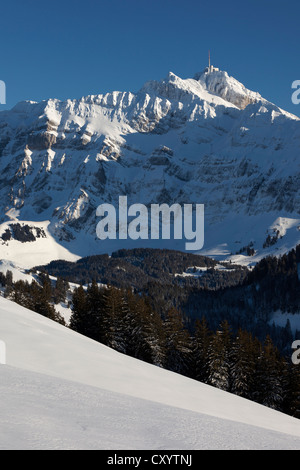 Blick von der hohen Alm auf das Alpstein-massiv mit Mt Säntis im Winter, Appenzell, St. Gallen, Schweizer Alpen, Schweiz, Europa Stockfoto