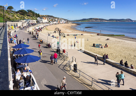 Promenade von Lyme Regis, Dorset, Großbritannien Stockfoto