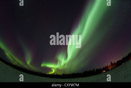 Wirbelnden nördliche Polarlicht, Aurora Borealis, grün, in der Nähe von Whitehorse, Yukon Territorium, Kanada Stockfoto