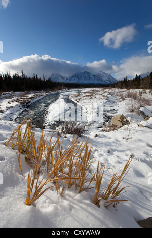 Erster Schnee am Quill Creek, St. Elias Mountains, Kluane Bereich hinter Kluane Nationalpark und Reserve, Yukon Territorium, Kanada Stockfoto