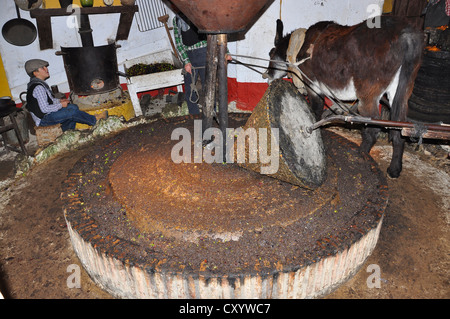 Alte Mode Weihnachtsszenen, der lebenden Krippe (Belen Viviente) am 26. Dezember 2011 in Beas, Spanien Stockfoto