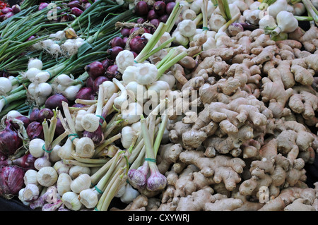 Verschiedene Arten von Zwiebeln und Ingwer, Marktstand Stockfoto