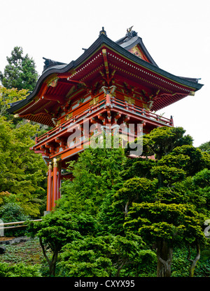 Japanische Tee-Garten im Golden Gate Park San Francisco Kalifornien, mehrere Ebenen rotes Dach Pagode Hochhaus Tee Haus Stockfoto