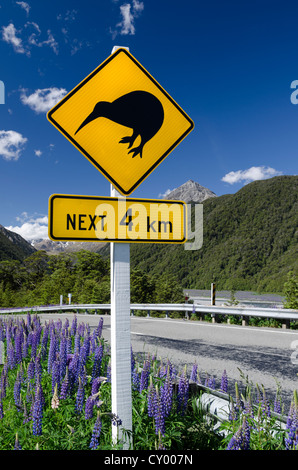 Warnschild auf einer Autobahn, "Kiwis nächsten 4 km", Porters Pass, Craigieburn Range, Canterbury, Südinsel, Neuseeland, Oceania Stockfoto