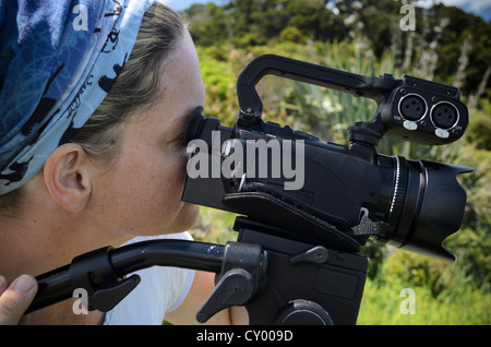 Junge Frau Blick durch den Sucher einer HD-Videokamera auf einem Stativ, New Zealand, Oceania Stockfoto