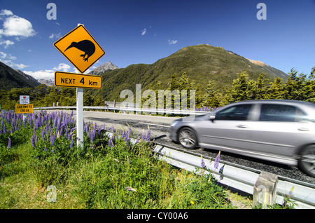 Silbernen Auto vorbeifahren ein Warnsignal auf einer Autobahn, "Kiwis nächsten 4 km", Porters Pass, Craigieburn Range, Canterbury Stockfoto