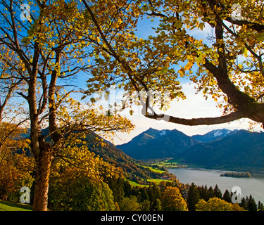 DE - Bayern: See Schliersee Stockfoto