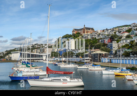 Segelboote im Hafen von Wellington, Oriental Bay, North Island, Neuseeland Stockfoto