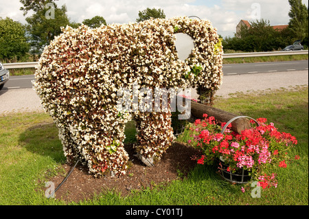 Reich verzierte dekorative Blume Hecke in Form eines Elefanten Mannequebeurre Saint Marie Kerque Frankreich Europa Stockfoto