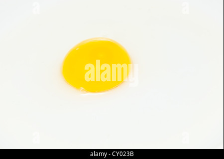 Ei auf einem weißen Teller gelb Stockfoto