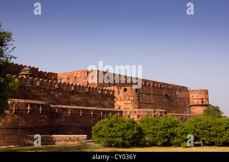 Außenwände des Roten Forts in der Nähe von Lahore Gate, Agra, Rajasthan, Indien, Asien Stockfoto