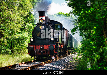 Karoline Dampflokomotive, Geesthachter Eisenbahn Eisenbahn Verein, Bergedorf, Hamburg Stockfoto