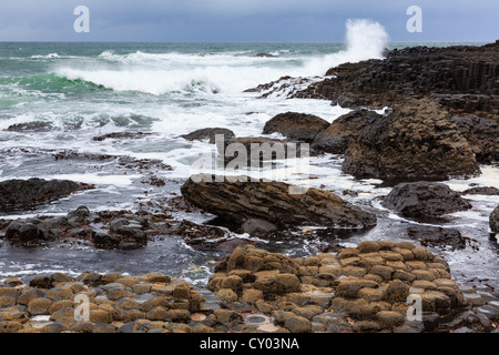 Raue Meer und Wellen, die gegen Basalt Lavafelsen des Giant's Causeway auf die Küste von North Antrim in Nordirland, Vereinigtes Königreich Stockfoto