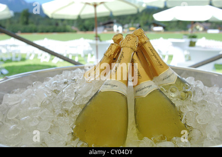 Sekt, Champagner, in einem großen Eis Eimer Stockfoto