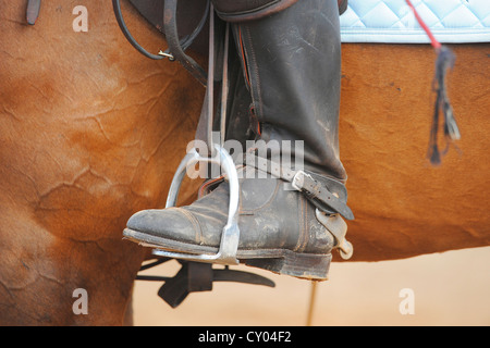 Polostiefel mit Sporen, Stiefel in die Steigbügel Stockfoto