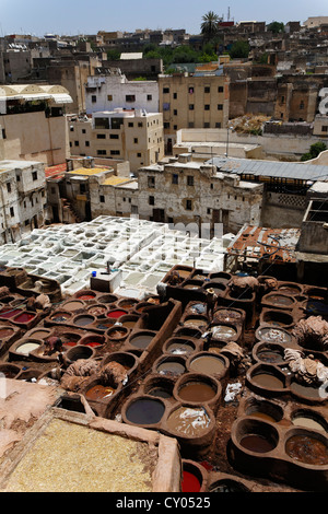 Traditionellen Gerbereien und Farbstoff arbeitet in Fes, Fez, Fès-Boulemane, Marokko, Nordafrika, Maghreb, Afrika Stockfoto