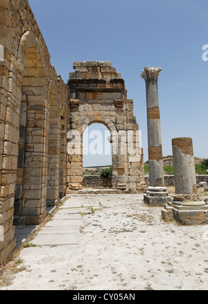 Reste der Basilika auf die römische Ausgrabungsstätte Volubilis, UNESCO-Weltkulturerbe, Meknes, Meknès-Tafilalet Stockfoto