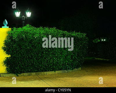 Nacht-Bild der Lampe in den Park. Dekorative Garten in der Nacht. Stockfoto