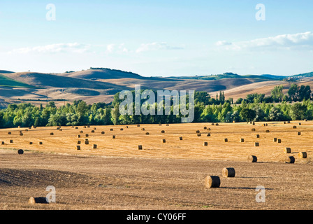 Landschaft in der Nähe von San Qurico d ' Orcia, Siena, Toskana, Italien Stockfoto