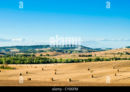 Landschaft in der Nähe von San Qurico d ' Orcia, Siena, Toskana, Italien Stockfoto