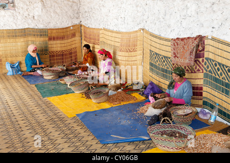 Frauen, die Herstellung von Arganöl in einer Genossenschaft in der Nähe von Essaouira, Region von Afrika, Maghreb, Marokko, Marrakech-Tensift-Al Haouz Stockfoto