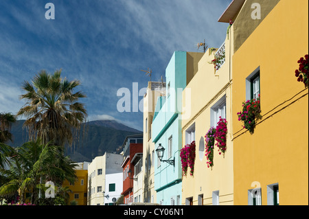 Puerto De La Cruz, den Teide auf der Rückseite, Teneriffa, Kanarische Inseln, Spanien, Europa Stockfoto