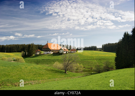 Oberfallengrundhof Bauernhaus in der Nähe von Furtwangen, Schwarzwald, Baden-Württemberg Stockfoto