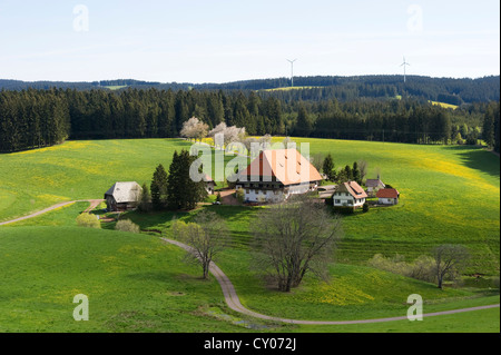 Oberfallengrundhof Bauernhaus in der Nähe von Furtwangen, Schwarzwald, Baden-Württemberg Stockfoto