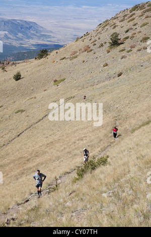 Mt Taylor 50K, ersten konstituierenden Ultramarathon 29. September 2012 - Mt Taylor, San Mateo Mountains in New Mexico Stockfoto