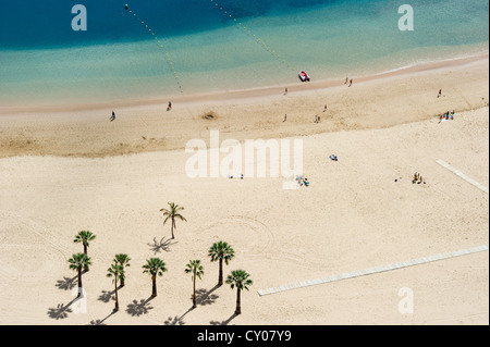 Vogels Perspektive, Palmen und Strand, Playa de Las Teresitas, San Andrés, Teneriffa, Kanarische Inseln, Spanien, Europa Stockfoto