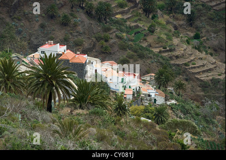 Dorf Masca, Teno-Gebirge, Teneriffa, Kanarische Inseln, Spanien, Europa Stockfoto