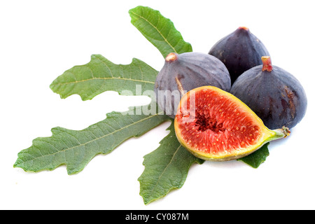 schwarze Feigen und Blatt vor weißem Hintergrund Stockfoto